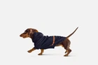 Дождевик с капюшоном для собак Noblepet Moss Blue, одежда для собак унисекс, L-Long (M4106/L-Long-Blue)