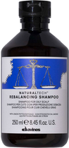 Szampon Davines Natural Tech Rebalancing Shampoo 250 ml (8004608256540) - obraz 1
