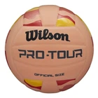 Волейбольний М'яч Wilson Pro Tour VB Stripe (WV2000501IBOF) 5
