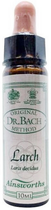 Krople do fitoterapii Santiveri Bach Larch 10 ml (5032587000635) - obraz 1