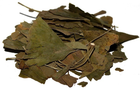 Гінкго Білоба (листя), 100 г - зображення 1