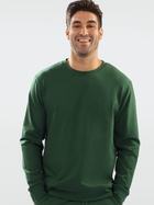 Джемпер чоловічий DKaren Sweatshirt Justin M Зелений (5903251464988) - зображення 1