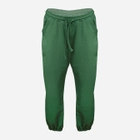 Спортивні штани DKaren Wenezja XL Зелені (5903251455474) - зображення 2