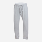 Spodnie sportowe DKaren Pants Justin M Grey (5903251464506) - obraz 3