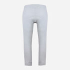Спортивні штани чоловічі DKaren Pants Justin M Grey (5903251464506) - зображення 4