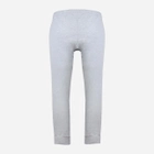 Спортивні штани чоловічі DKaren Pants Justin M Grey (5903251464506) - зображення 4