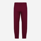 Spodnie sportowe DKaren Pants Justin M Maroon (5903251464582) - obraz 4