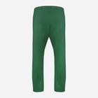Спортивні штани чоловічі DKaren Pants Justin L Green (5903251464636) - зображення 4
