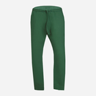 Спортивні штани чоловічі DKaren Pants Justin XL Green (5903251464643) - зображення 3