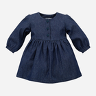 Сукня дитяча Pinokio Romantic Longsleeve Dress 74-76 см Jeans (5901033289170) - зображення 1