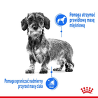 Sucha karma dla dorosłych psów Royal Canin Mini Light Weight Care 8 kg (3182550716918) - obraz 4