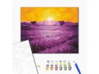Картина за номерами Схід сонця над лавандою, Brushme (40х50 см), BS52690