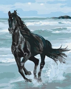 Картина за номерами Чорний кінь (BS29330) Brushme 40x50 см Brushme