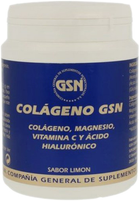 Suplement diety GSN Colageno 364 g (8426609020546) - obraz 1