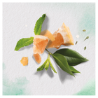 Шампунь Herbal Essences Білий грейпфрут і м'ята 400 мл (8006540318492) - зображення 5