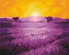 Картина за номерами Схід сонця над лавандою (BS52690) Brushme 40x50 см Brushme