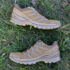 Чоловічі тактичні кросівки LOWA Innox Pro Gtx Lo Tf 310832/0731 48.5 (13) Coyote OP (2000980484553) - зображення 9