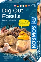 Набор для исследования Kosmos Dig Out Fossils Раскопка окаменелостей 161722 (4002051617226)