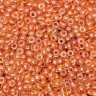 Бисер чешский №716/96000, Оранжевый, Глазурированый, 10/0 (BIS-003911) Preciosa