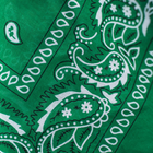 Бандана Art Of Polo Sz13014-6 Зелена (5902021182855) - зображення 3