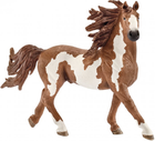 Figurka Schleich Koń Pinto (4005086137943) - obraz 1