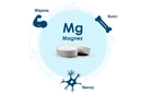 Біологічно активна добавка Pharma Nord Bio-Magnez 30 таблеток (5709976231108) - зображення 3