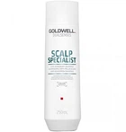 Шампунь Goldwell DSN Scalp Specialist проти лупи 250 мл (4021609062530)