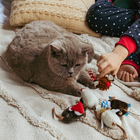 Zabawka dla kota Dingo Jeżyk z kocimiętką 9 cm (5904760211971) - obraz 3