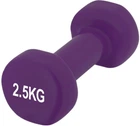 Гантель PowerPlay 4125 вінілова 2.5 кг Фіолетова (PP_4125_2.5kg)