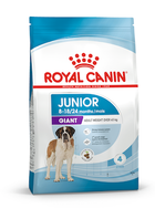 Сухий корм Royal Canin Giant Junior для цуценят гігантських порід старше 8 місяців