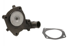 Водяной насос THERMOTEC D1G022TT Ford Fiesta 1023645, 1020988, 1317913