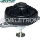 Клапан ЄДР MOBILETRON EV-EU027 Opel Astra, Omega, Vectra, Zafira 93170138, 9192805, 849156