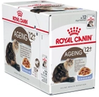 Mokra karma dla starszych kotów Royal Canin Ageing 12+ Smak mięsa 12 x 85 g (9003579311813) - obraz 1