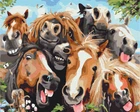 Картина по номерам "Селфи лошадей" Brushme 40x50 см (tvo0007800)