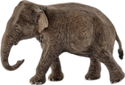 Іграшка-фігурка Schleich Wild Life Азіатська слониха (4005086147539) - зображення 1