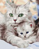 Malowanie po numerach Brushme Matka kotka z kotkiem 40 x 50 cm (BS52689) - obraz 1