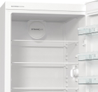 Однокамерний холодильник GORENJE R619FEW5 - зображення 10