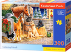 Puzzle Castorland Spotkanie przyjaciół 300 elementów (5904438030255)