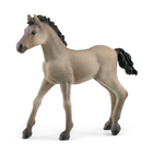 Фігурка Schleich Horse Club Criollo Definitivo Foal 10 см (4059433486673) - зображення 1