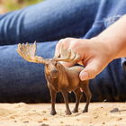 Фігурка Schleich Wild Life Moose Bull 10.3 см (4059433692180) - зображення 3