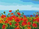 Картина за номерами Поле маків у Аржантея (RBS1005) Brushme 30x40 см Brushme