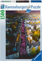 Пазл Ravensburger Bonn. Німеччина 1500 елементів (4005556171040)