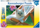 Пазл Ravensburger для дітей Фото кота 200 елементів (4005556132898) - зображення 1