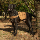 Тактичний рюкзак OneTigris K9 Hoppy Camper Dog Pack для собак L 2000000141244 - зображення 7