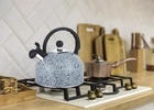 Чайник із свистком Gusto Геракл GT-1414-25 2.5 л
