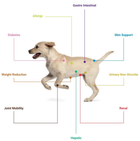 Mokra karma dla psów ze schorzeniami wątroby 4Vets Natural - Hepatic Dog 400 g (5902811741088) - obraz 2