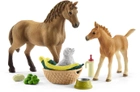 Zestaw figurek Schleich Horse Club Sarah's Baby Animal Care (4059433572772) - obraz 3