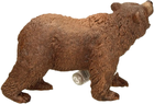 Фігурка Schleich World of Nature Wild Life Grizzly Вear (4059433406282) - зображення 5