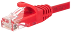 Patchcord Netrack Cat 6 UTP 0.25 m Red (5908268778455)