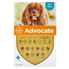 BAYER Advocate Адвокат cпот-он для собак от 4 до 10 кг, 1 пипетка